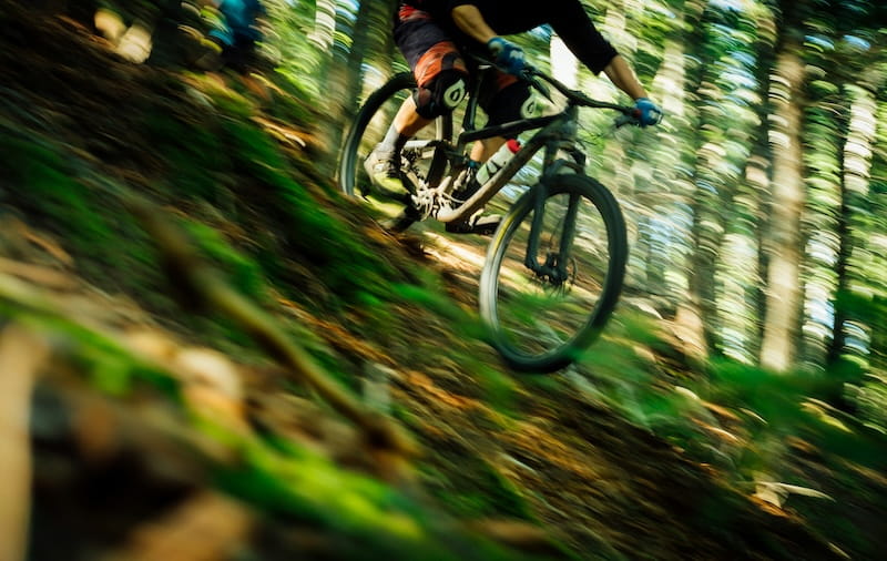 Bike Park em Nevados de Chillán: como funciona, onde ver preços e aluguel Bike correndo na floresta