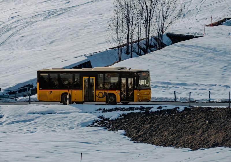 onibus-neve