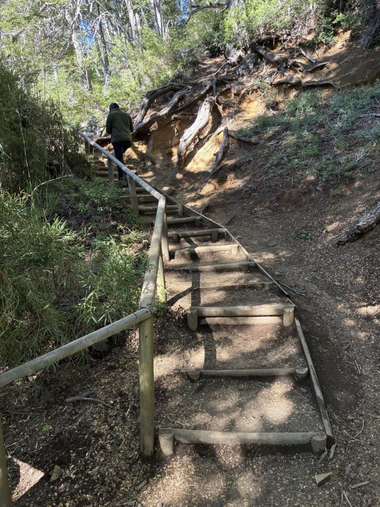 GRUTA LOS PANGUES: um passeio ideal em família no Valle Las Trancas ESCADA DE SUBIDA GRUTA LOS PANGUES 768x1024