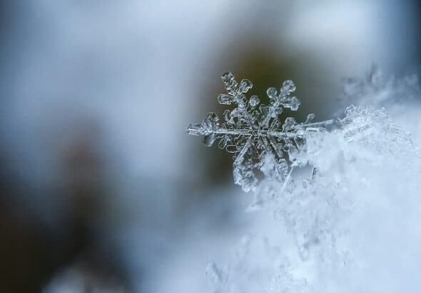 neve-dia-muito-gelado