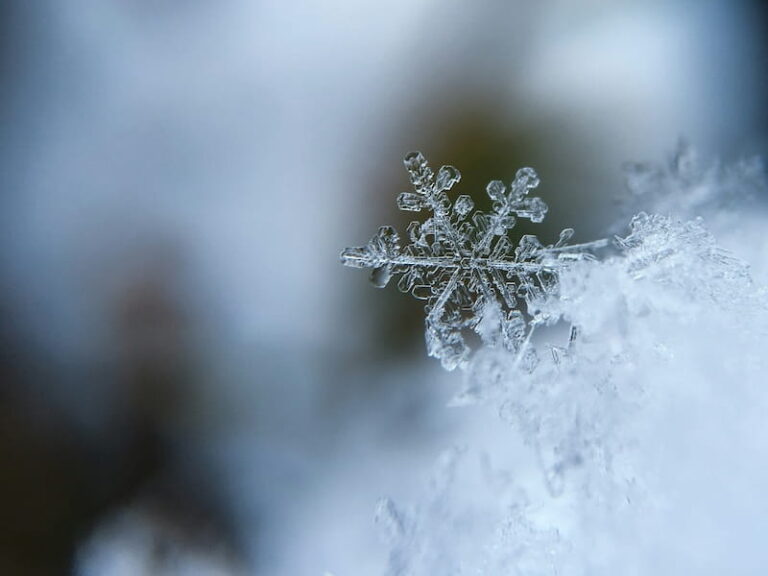neve-dia-muito-gelado