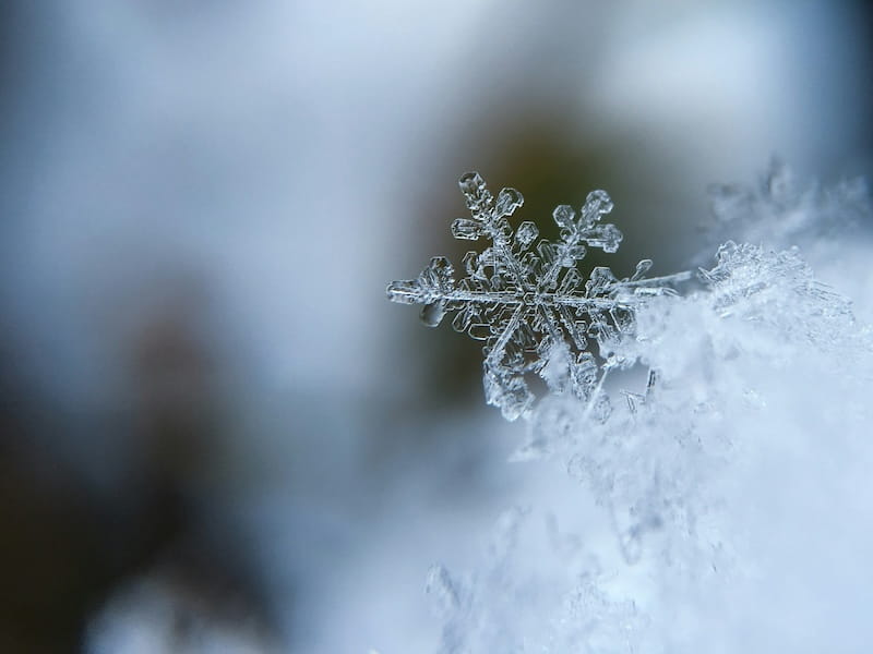 neve-dia-muito-gelado