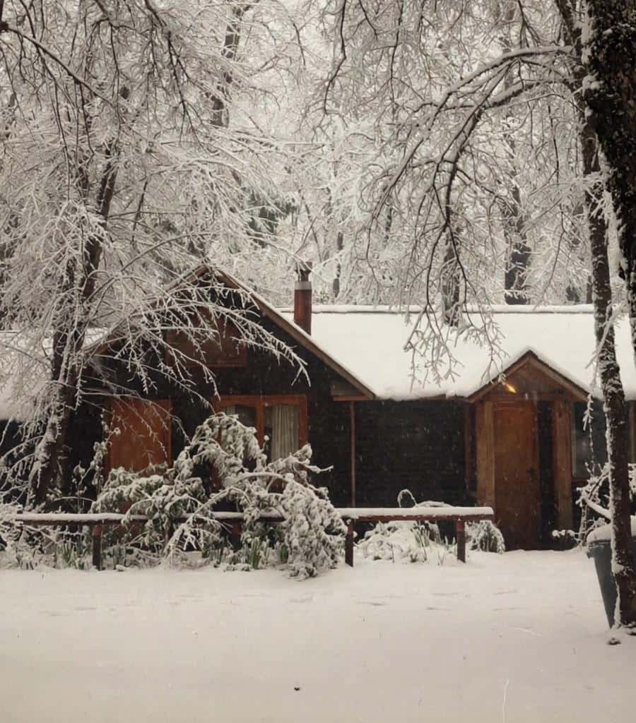 cabanas las trancas nevados de chillan canelo